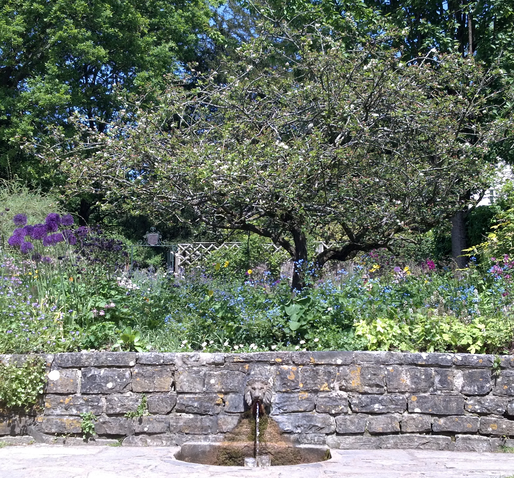 Mark’s Inspiration: The Lion’s Head Fountain, Chalice Well, Glastonbury, England